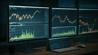 Navigating the Stock Market: Key Insights & Investment Strategies