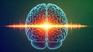 Unlock Your Inner Harmony: How Music Rebalances Your Brain