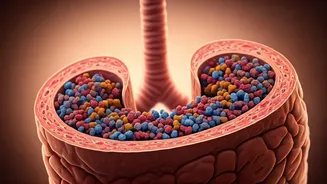 Microplastics: Silent Invaders in Human Systems?