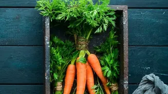 Give Delicate Vegetables A Clear Place In Plans For A Use-First Produce Box