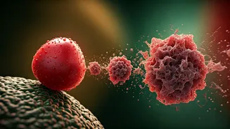 Pomegranate Power: Leaf Compound Dismantles Deadly Amyloid Clumps