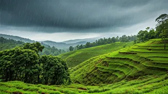 Monsoon Kerala Has Entered Vacation Moodboards
