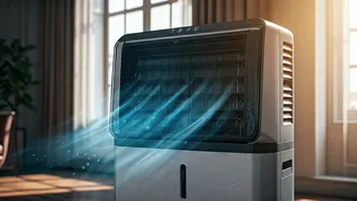 Air Coolers: Cooling Your Space Effectively