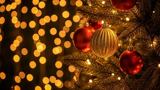 Unveiling India's Unique Christmas Celebrations