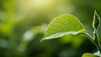 Breathwork Makes Recovery Feel More Accessible