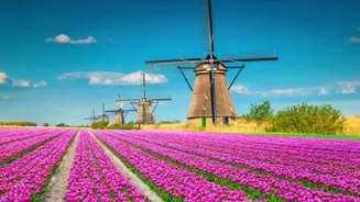 Heading to Netherlands? Add these spots to your itinerary