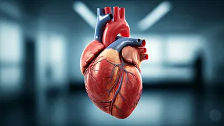 Healthy Hearts: 6 Essentials for a Strong Body