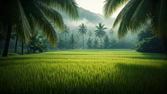 Why Smart Backpackers Choose Kerala For Monsoon Holiday Magic