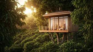 Spice Plantation Treehouse Stays Command Highest Social Travel Hits Today
