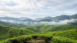 Hill Holiday In The Rains? These Safety Checks Should Come Before Booking