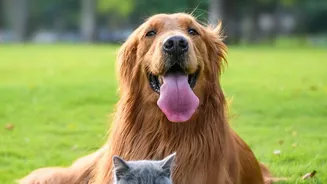 A Pet-Service Checklist Should Include Staffing and Overnight Supervision