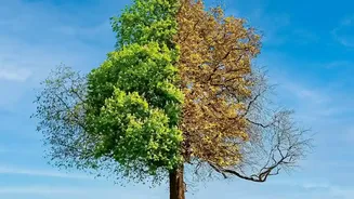 The New Student Workshop On Environmental AI: The Context Behind Real Climate Problems