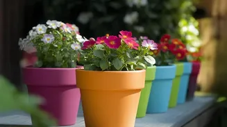 How IoT Soil Moisture Probes Improve Survival Rates For Balcony Garden Plants