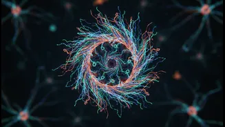 Why discovery of brain cell skeleton structure gives hope to Alzheimer's patients