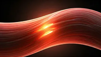 Rest & Recovery: Essential for Fitness Success