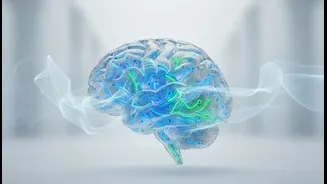 Cleaner Air Policies Can Influence Brain Health Beyond Individual Behaviour