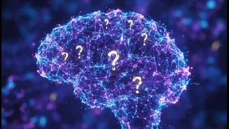 No detector result should be treated as final proof: a key limit for AI Image Detectors