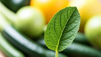 10 Ways to Beat Bloating Naturally