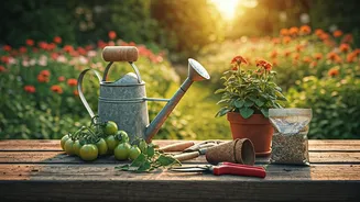 Plant Parents Cannot Ignore June Gardening Homework