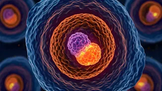 Google AI Makes Cancer Breakthrough