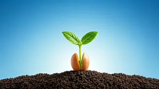 Nurturing Growth: The Art of Balanced Parenting in India