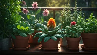 Balcony Gardens Need More Edible Experiments Now