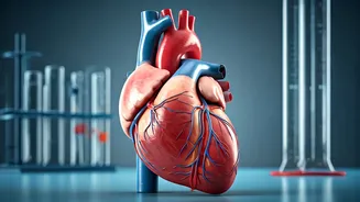 Energy Drinks & Your Health: A Doctor's Take