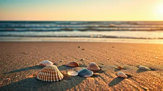 Unlock Mental Bliss: How Beachcombing Enhances Your Well-being