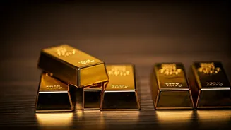 Navigating India's Economic Landscape: Key Financial Insights for Investors