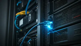 OpenAI Platforms Hit by Widespread Outage: ChatGPT and Codex Users Affected