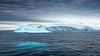 Antarctica's Melting: Scientists Sound the Alarm
