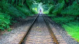 Essential Travel Guide: Mandovi Express Konkan Route Monsoon Rail Views