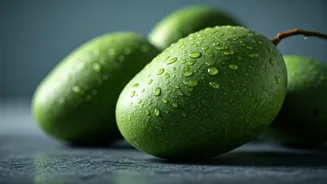 Your Body's Two-Week Transformation: The Daily Aam Panna Effect