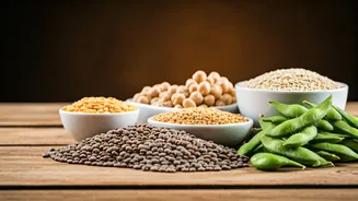 Kartik Aaryan's Plant-Based Power: A Vegetarian's Guide