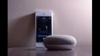Why your phone speaker sounds different on humid days — the small electronics shift in early June