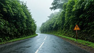 Coorg Rain Trips Need Safety Before Reels