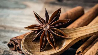 Real Cinnamon Identification Requires More Than a Quick Smell Test