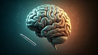 Diabetes & Dementia: Unpacking the Brain Health Connection and Identifying High-Risk Individuals