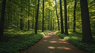 Walking Helps You Lose Weight Sustainably.