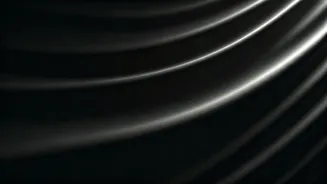 Tamil Nadu's Fury: Stalin Leads Black Flag Protest Against Unfair Delimitation