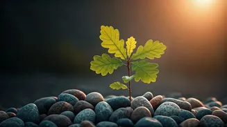 Nurturing Unshakeable Confidence: 7 Pillars Parents of Thriving Children Embrace