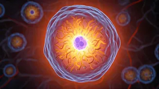 Exercise: Molecular Level Body Overhaul!