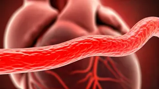 Drink These Daily for a Healthier Artery