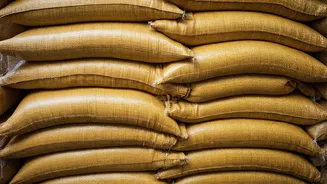 India's Diplomatic Tightrope: Navigating Iran Curbs