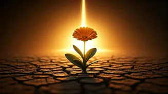 Mesha Sankranti 2026: New Beginnings, Timings, Rituals, and Auspicious Significance