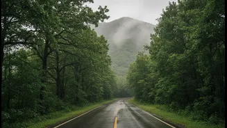 IMD Says Monsoon May Cover India Soon, But Travellers Need Alert Discipline