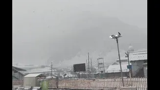 J&K: Sonamarg Witnesses Fresh Spell Of Snow, Turns Into White Wonderland | Watch