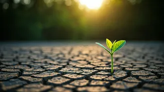 Young India Needs A Whole-Habit Reset