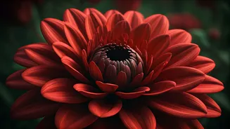 Nature's Deceptive Beauties: 5 Flowers That Wow with Scent of Death