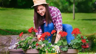 What India's Three Growing Seasons Means for Indian Gardeners
